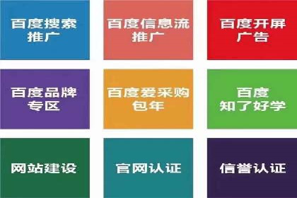 百度推广在电商行业的应用案例分析